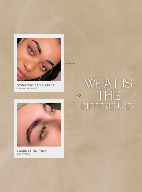 Photo of the difference between lamination & Tint vs signature lamination & brow dye