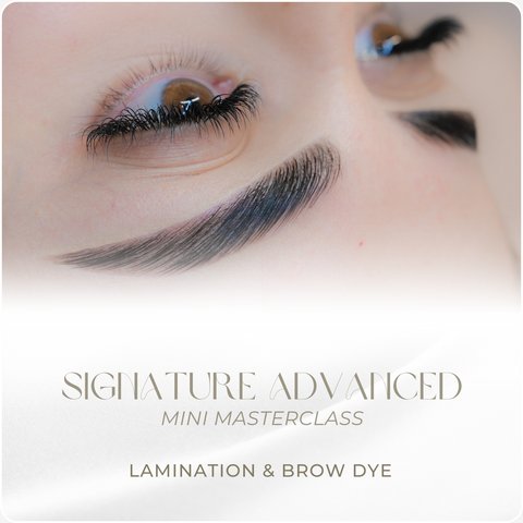 Advanced Mini Masterclass - Lamination & Brow Dye